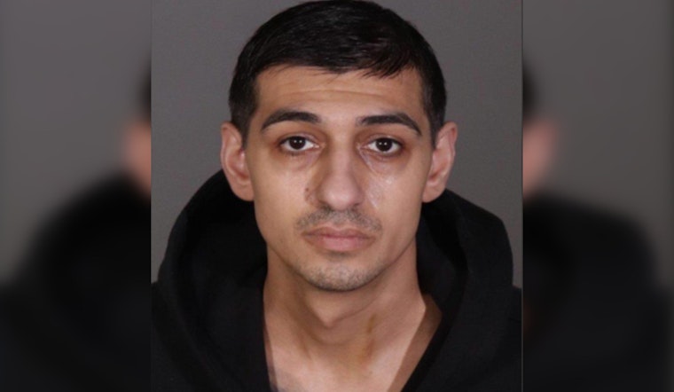 Alleged Lexus Mail Bandit Nabbed In San Fernando Valley Robbery Spree