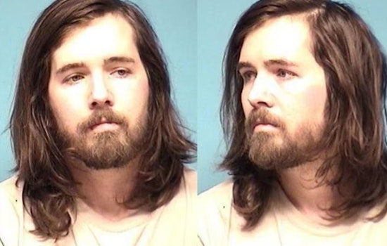 Amherst Crash Outrage As Local Driver Hit With Felony Indictment In Dog’s Death