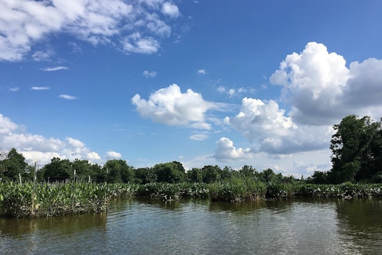 Anacostia River Bacteria Scare Has Southeast Neighbors on Edge