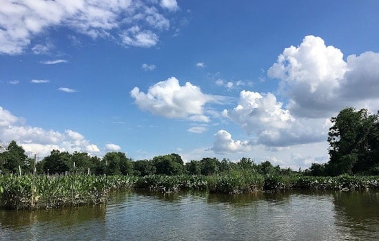 Anacostia River Bacteria Scare Has Southeast Neighbors on Edge