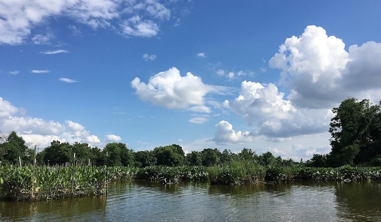 Anacostia River Bacteria Scare Has Southeast Neighbors on Edge