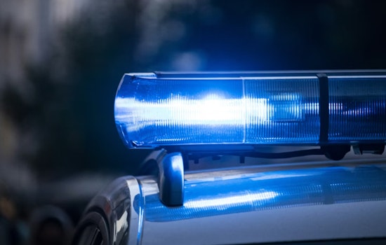 Armed Nashville Woman Accused Of Pointing Gun At 9-Year-Old Neighbor