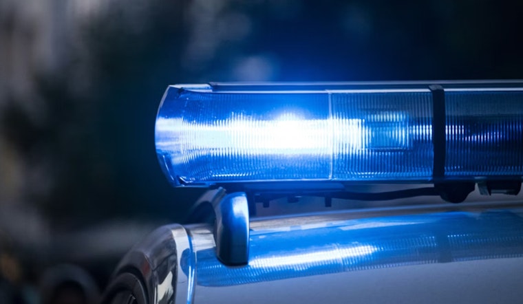 Armed Nashville Woman Accused Of Pointing Gun At 9-Year-Old Neighbor