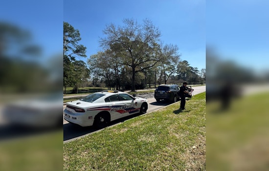 Armed Suspect Busted With Drugs On Champion Forest Drive, Cops Say