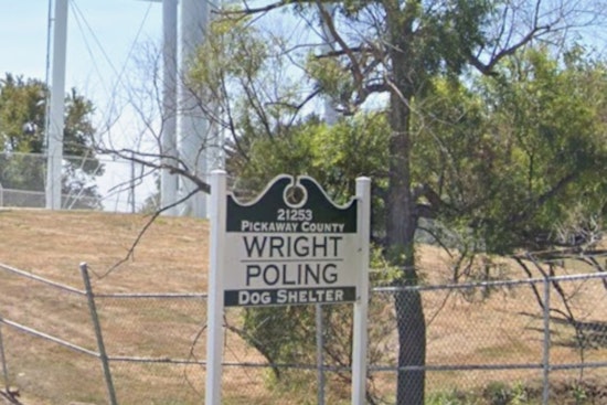 Ashville Mauling Furor Triggers Quiet Shake-Up At Pickaway Dog Shelter