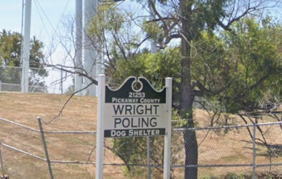 Ashville Mauling Furor Triggers Quiet Shake-Up At Pickaway Dog Shelter