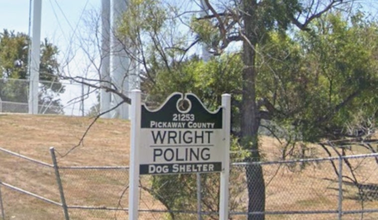 Ashville Mauling Furor Triggers Quiet Shake-Up At Pickaway Dog Shelter