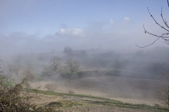 Ashy Skies From Hilo To Pāhoa As Kīlauea Blast Keeps Big Island On Alert