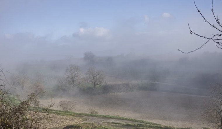 Ashy Skies From Hilo To Pāhoa As Kīlauea Blast Keeps Big Island On Alert