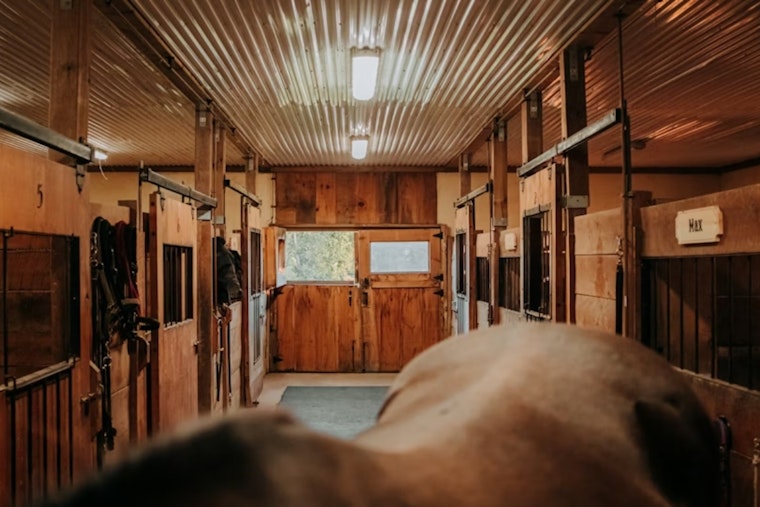 Aurora Horse Stables Get Traded for 130-Plus Affordable Homes in High-Stakes Housing Push