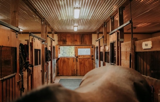 Aurora Horse Stables Get Traded for 130-Plus Affordable Homes in High-Stakes Housing Push