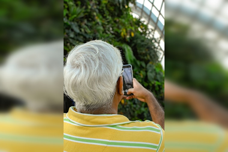 Austin Seniors Lost Nearly $20M to Romance Scams