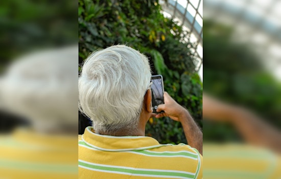 Austin Seniors Lost Nearly $20M to Romance Scams