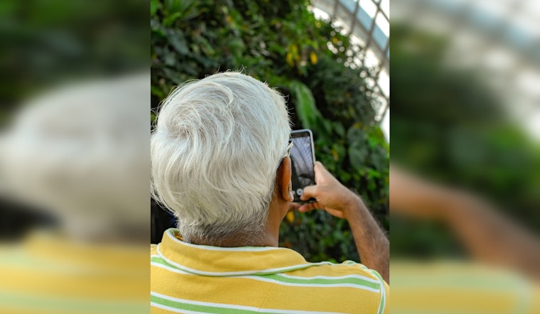 Austin Seniors Lost Nearly $20M to Romance Scams