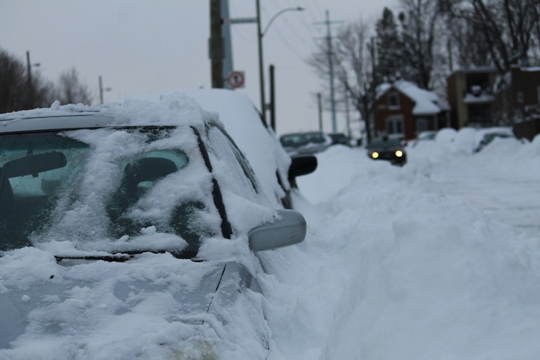 Babylon Plow Hero Slams on Brakes to Save Lab Sisters on Sunrise Highway