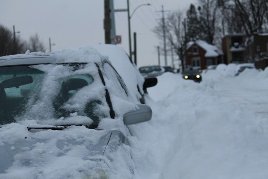 Babylon Plow Hero Slams on Brakes to Save Lab Sisters on Sunrise Highway