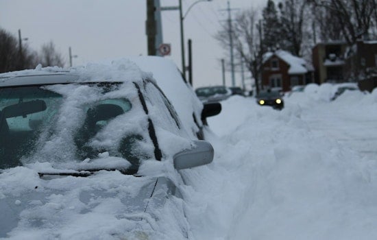 Babylon Plow Hero Slams on Brakes to Save Lab Sisters on Sunrise Highway