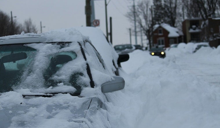 Babylon Plow Hero Slams on Brakes to Save Lab Sisters on Sunrise Highway