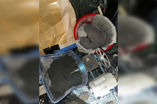 Backyard Meth Tent Bust Shocks Quiet Brookhaven Block