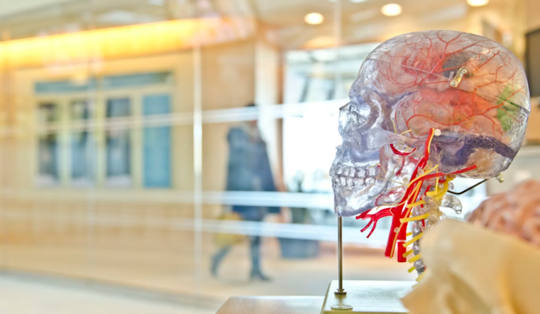 Baltimore Brain Bet: Hopkins Spinout Snags $20M For Skull Implant Play