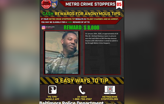 Baltimore Cops Plead For Clues After Sheridan Avenue Turns Deadly
