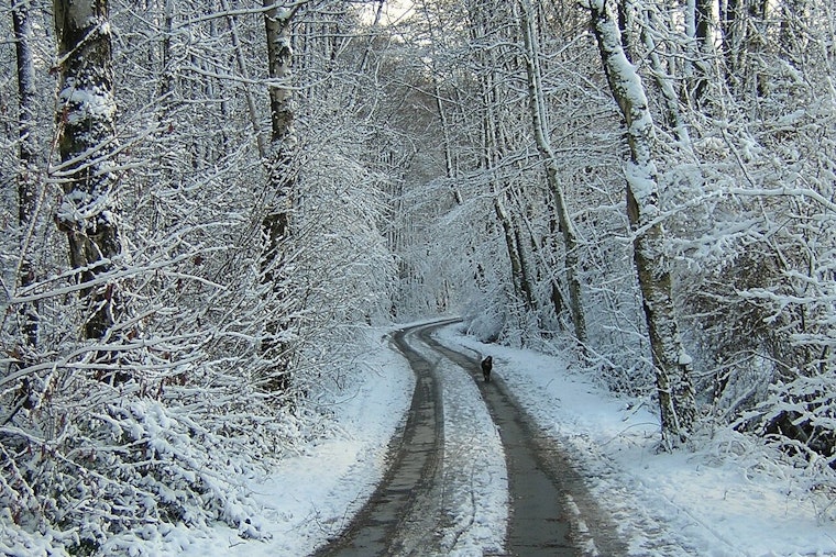 Baltimore/Washington DC Hit by Intense Cold, Advisory Issued Through Early Afternoon