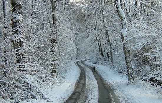 Baltimore/Washington DC Hit by Intense Cold, Advisory Issued Through Early Afternoon