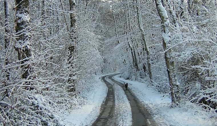 Baltimore/Washington DC Hit by Intense Cold, Advisory Issued Through Early Afternoon