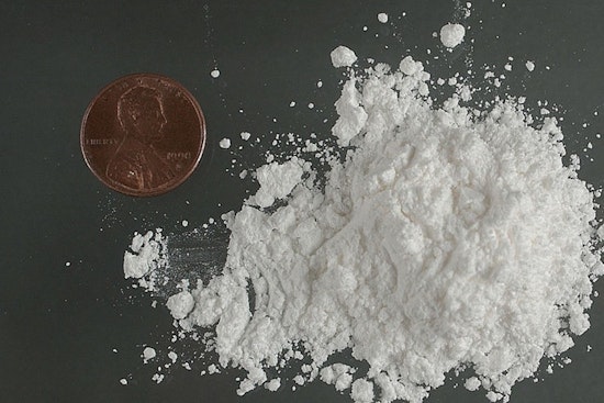B.C. Husky Nearly ODs After Snatching Coke-Laced Napkin On Walk