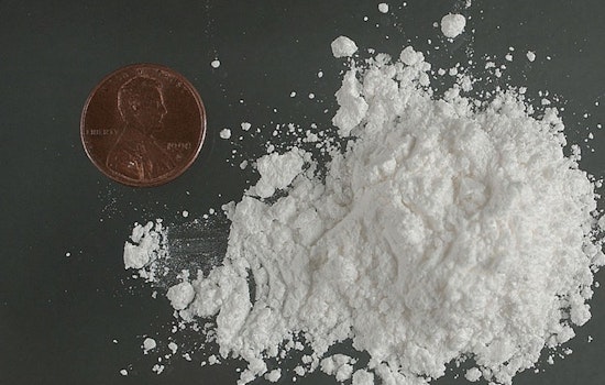B.C. Husky Nearly ODs After Snatching Coke-Laced Napkin On Walk