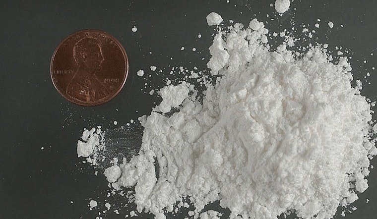 B.C. Husky Nearly ODs After Snatching Coke-Laced Napkin On Walk