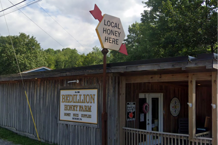 Bee Yard Massacre: Arsonist Torches Beaver County Hives, Killing Tens Of Thousands