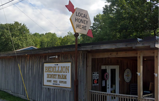 Bee Yard Massacre: Arsonist Torches Beaver County Hives, Killing Tens Of Thousands
