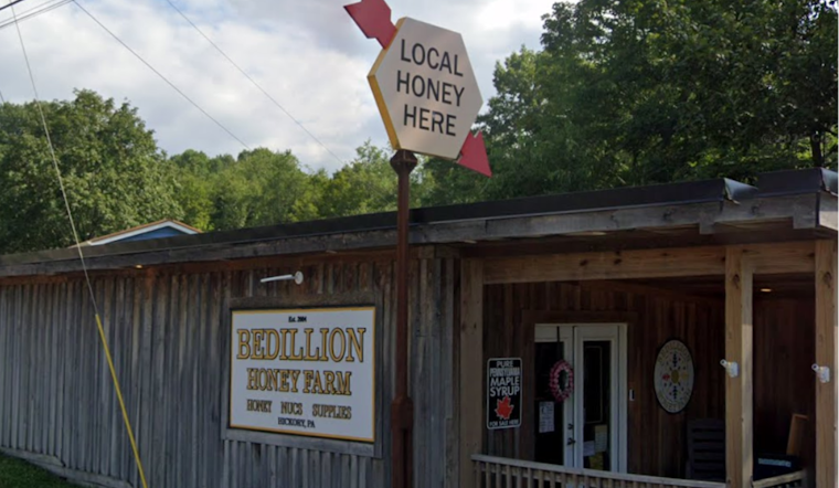 Bee Yard Massacre: Arsonist Torches Beaver County Hives, Killing Tens Of Thousands