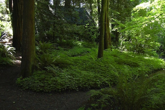 Beloved Portland Garden Warns It Could Shut Gates By March Without Cash Lifeline