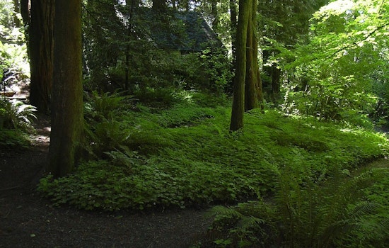 Beloved Portland Garden Warns It Could Shut Gates By March Without Cash Lifeline
