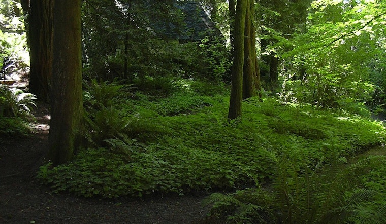Beloved Portland Garden Warns It Could Shut Gates By March Without Cash Lifeline