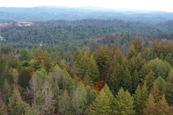 Big Basin Snaps Up 153 Acres, Turning Former Junkyard Into New Gateway