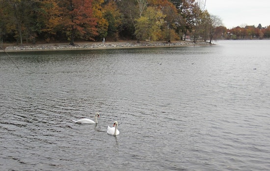 Bird Flu Hits Boston’s Emerald Necklace, Parkgoers Told To Back Off Birds