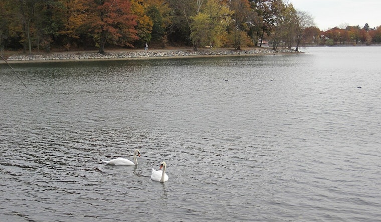 Bird Flu Hits Boston’s Emerald Necklace, Parkgoers Told To Back Off Birds