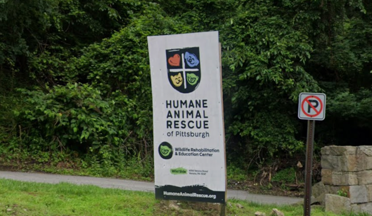 Bird Flu Jitters Hit Pittsburgh Wildlife Center, Waterfowl Get Turned Away