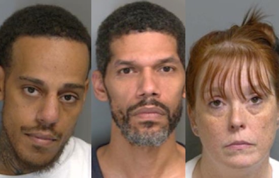 Bird Poop, Brake Dust And An Alleged Hit Job: Macomb Trio Back In Court