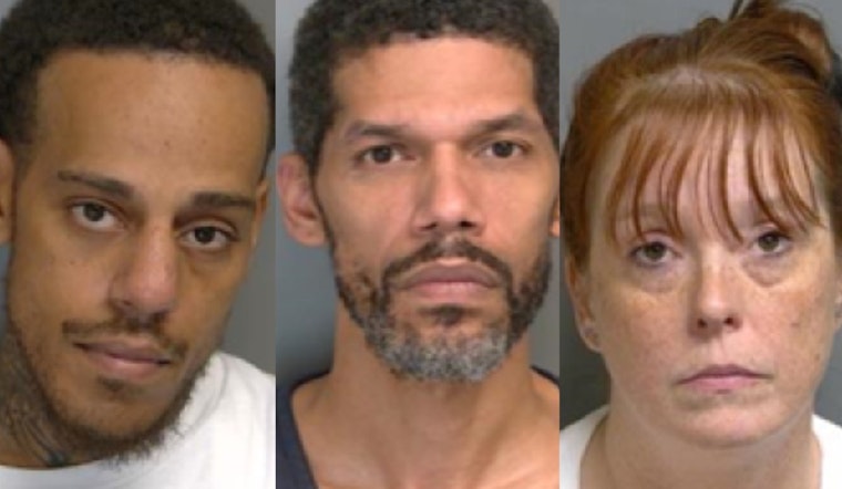 Bird Poop, Brake Dust And An Alleged Hit Job: Macomb Trio Back In Court