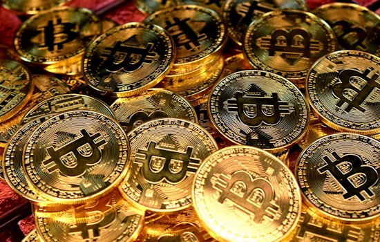 Terrified Tampa Bay Seniors Marched to Bitcoin ATMs in Cold-Blooded Crypto Con