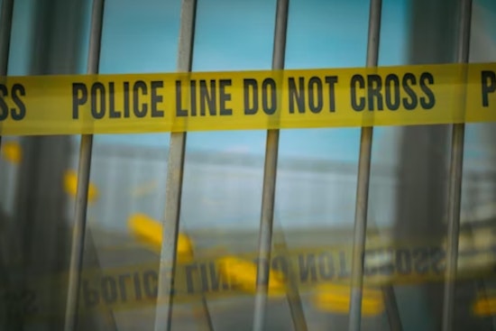 Blood-Soaked Dogs Found Inside Metro Atlanta Home Where Woman Lay Dead