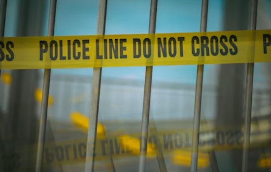 Blood-Soaked Dogs Found Inside Metro Atlanta Home Where Woman Lay Dead