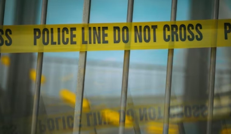 Blood-Soaked Dogs Found Inside Metro Atlanta Home Where Woman Lay Dead