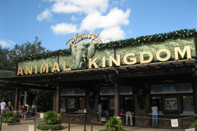 Bluey Moves In As Disney's Animal Kingdom Shutters Rafiki's Planet Watch