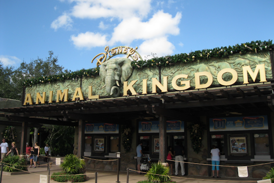 Bluey Moves In As Disney's Animal Kingdom Shutters Rafiki's Planet Watch