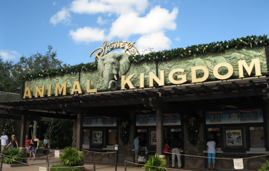 Bluey Moves In As Disney's Animal Kingdom Shutters Rafiki's Planet Watch